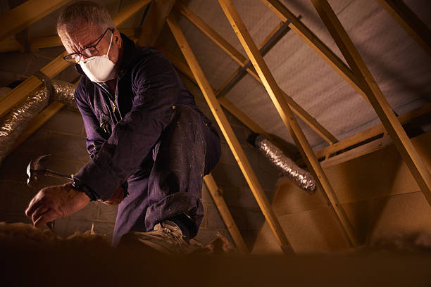 Best Home Insulation Services  in Brookville, PA